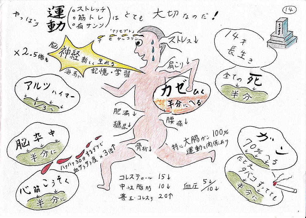 運動は大切なのだ