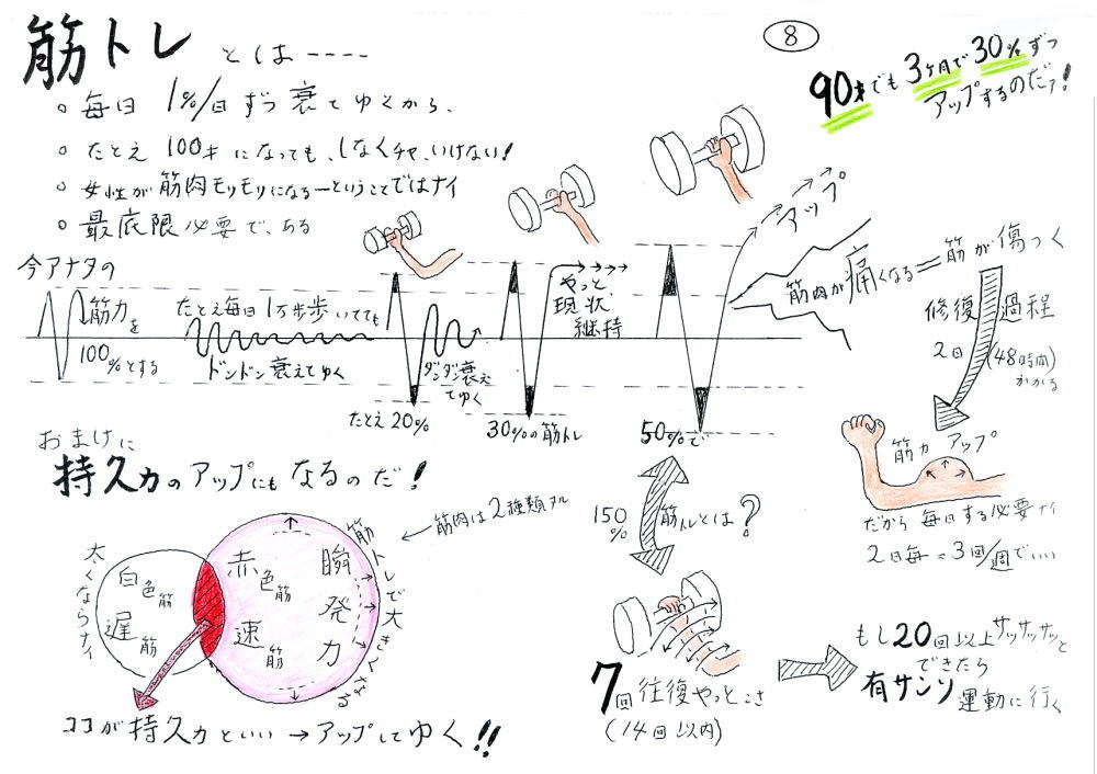 筋トレとは