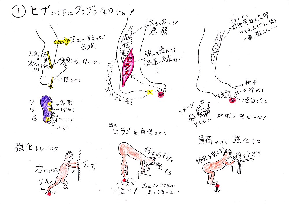 ヒザから下はグラグラなのだぁ